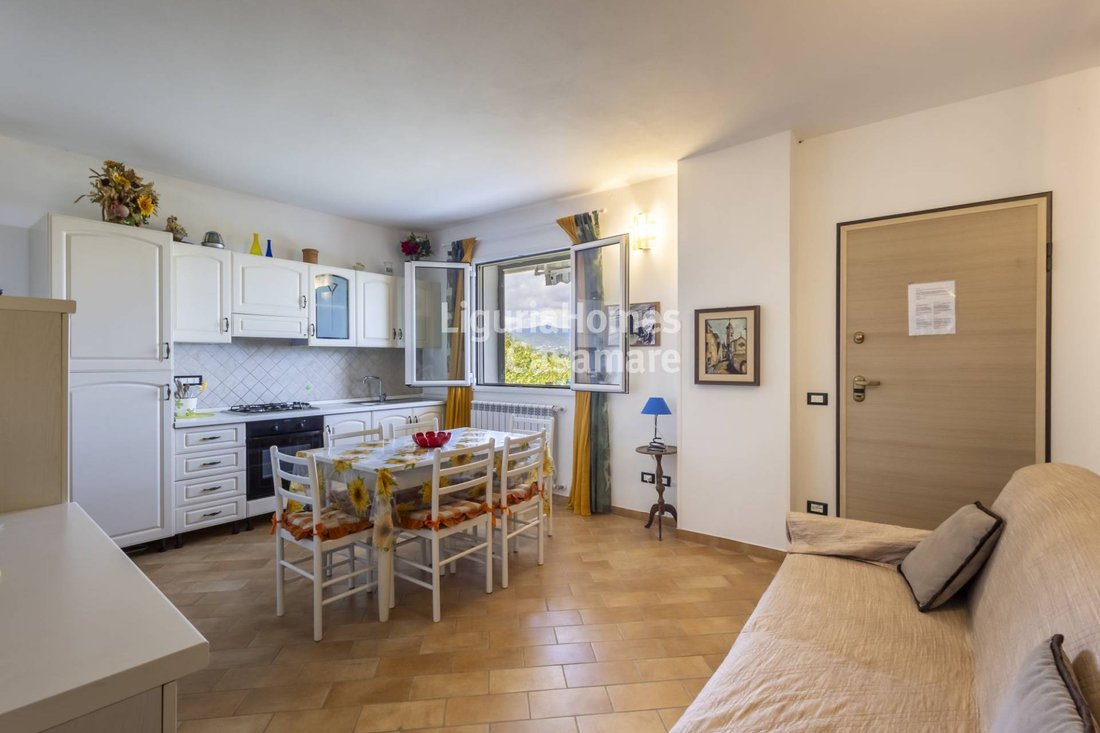 Villa in Borgo Sant'Agata-Borgo d'Oneglia-Costa d'Oneglia, Imperia, Liguria 5 - 14327617