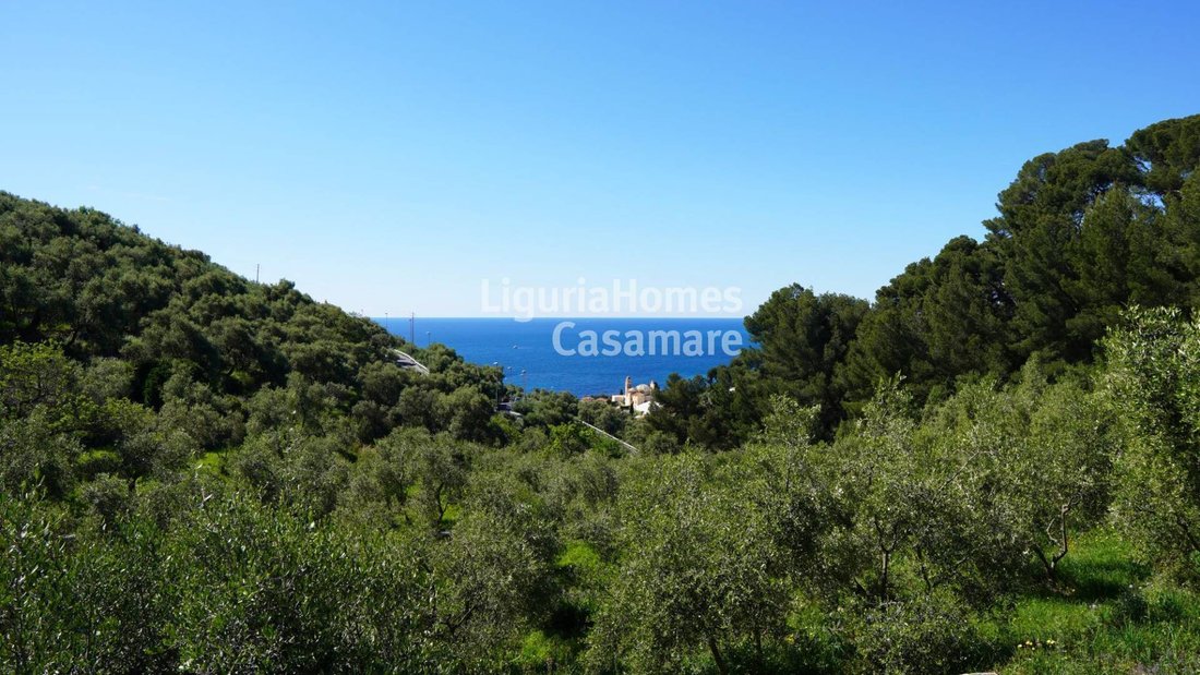 Villa in Cervo, Liguria, Italy 5 - 11297138