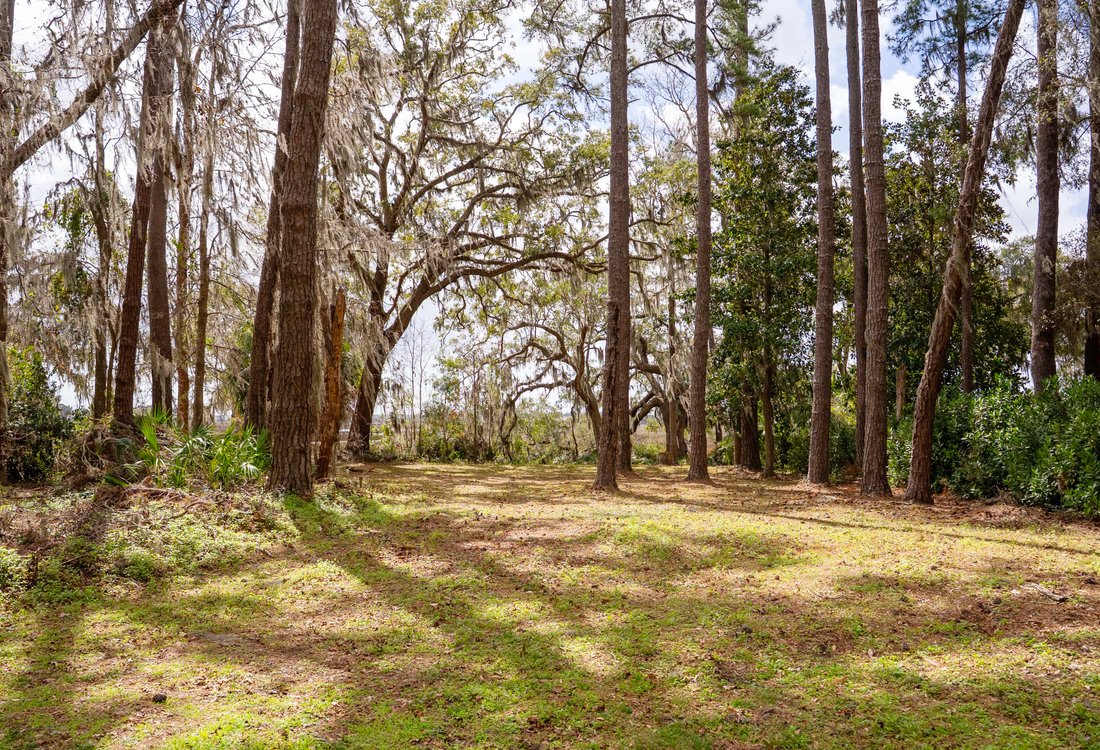 Land in St. Simons, Georgia, United States 3 - 15323790