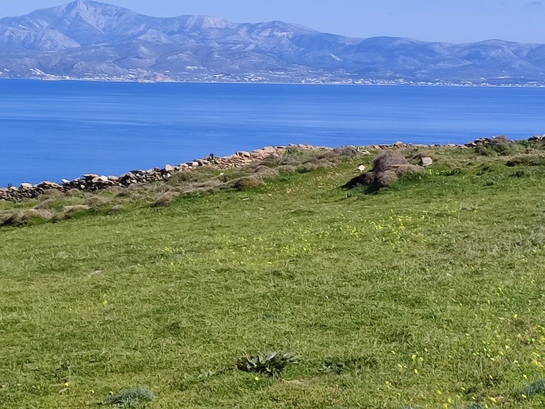 Land in Paros, Aegean, Greece 3 - 15325495
