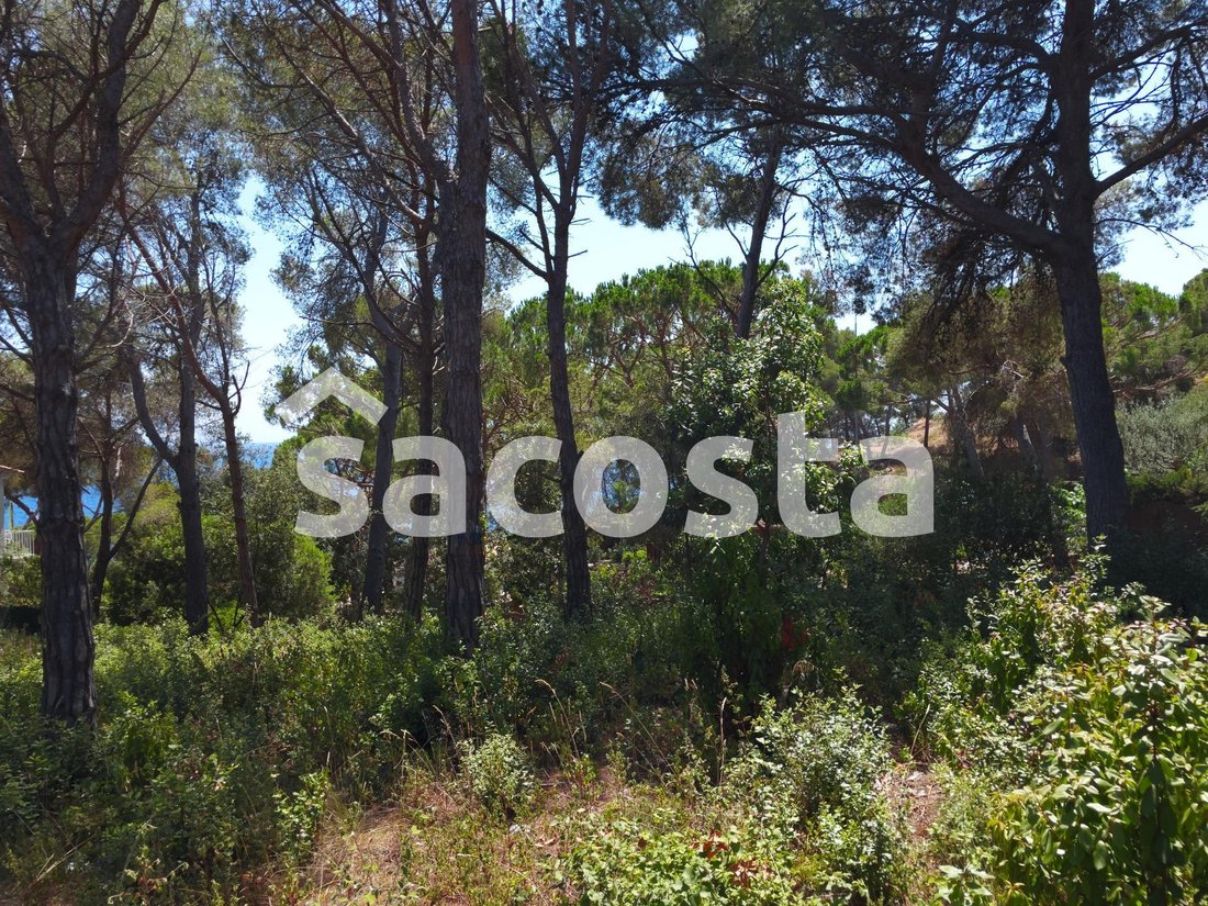 Land in Lloret de Mar, Catalonia, Spain 5 - 15326006