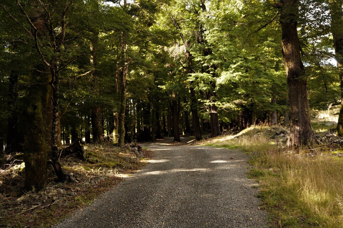 Land in St. Arnaud, Tasman, New Zealand 4 - 15324688