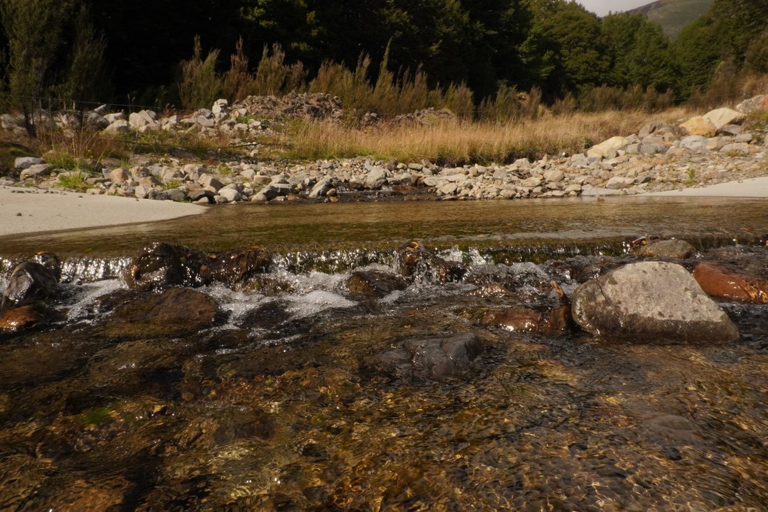 Land in St. Arnaud, Tasman, New Zealand 5 - 15324688