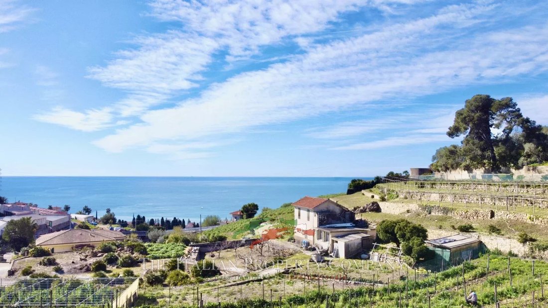 Land in Bordighera, Liguria, Italy 1 - 14482335
