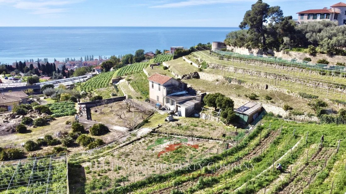 Land in Bordighera, Liguria, Italy 5 - 14482335