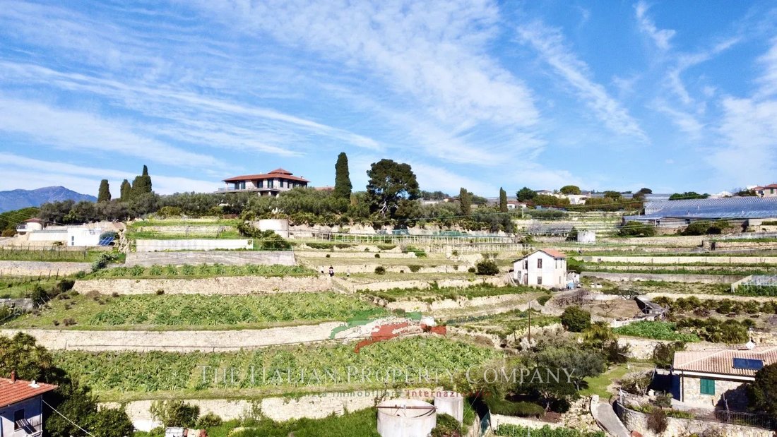 Land in Bordighera, Liguria, Italy 4 - 14482335