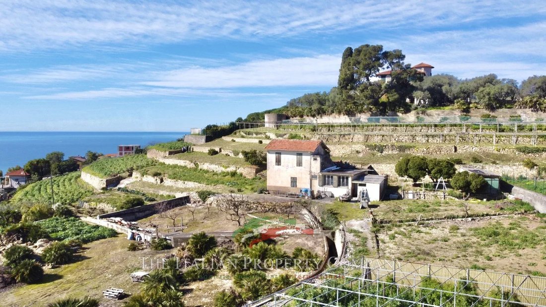 Land in Bordighera, Liguria, Italy 2 - 14482335