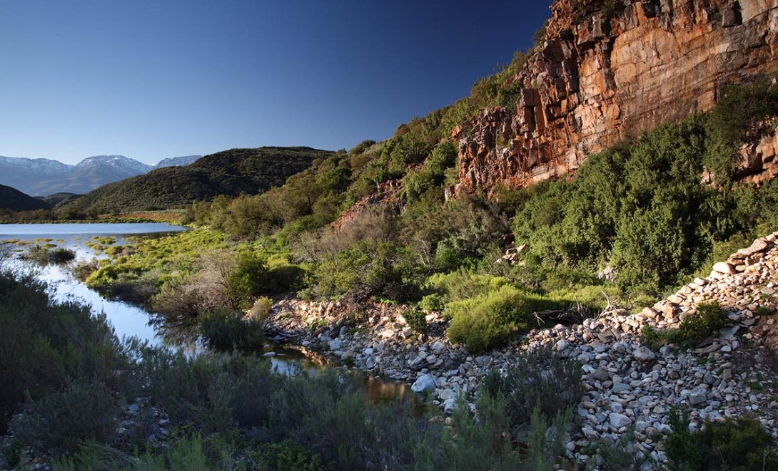 Farm Ranch in Oudtshoorn, Western Cape, South Africa 4 - 13354202