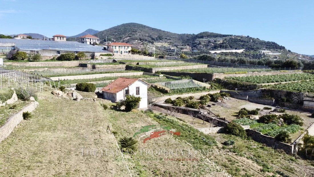 Land in Bordighera, Liguria, Italy 3 - 14482335