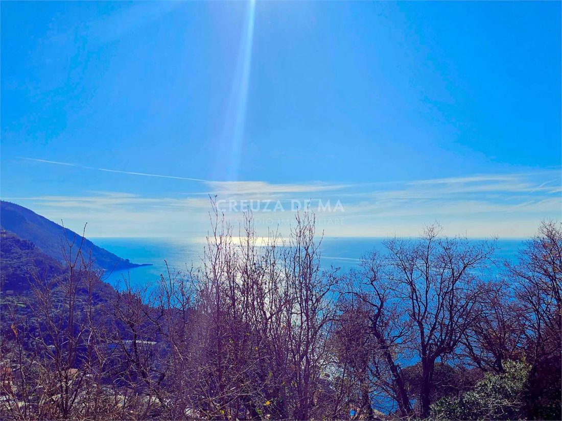 Villa in Camogli, Liguria, Italy 4 - 15328722
