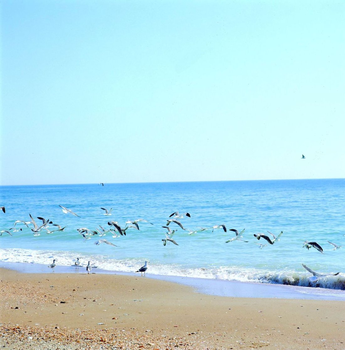 Apartment in Lepe, Andalusia, Spain 4 - 15326311