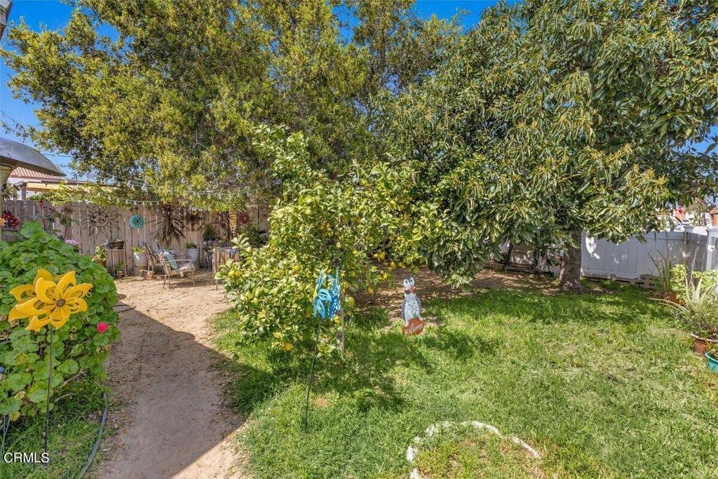 House in Santa Paula, California, United States 4 - 15322826