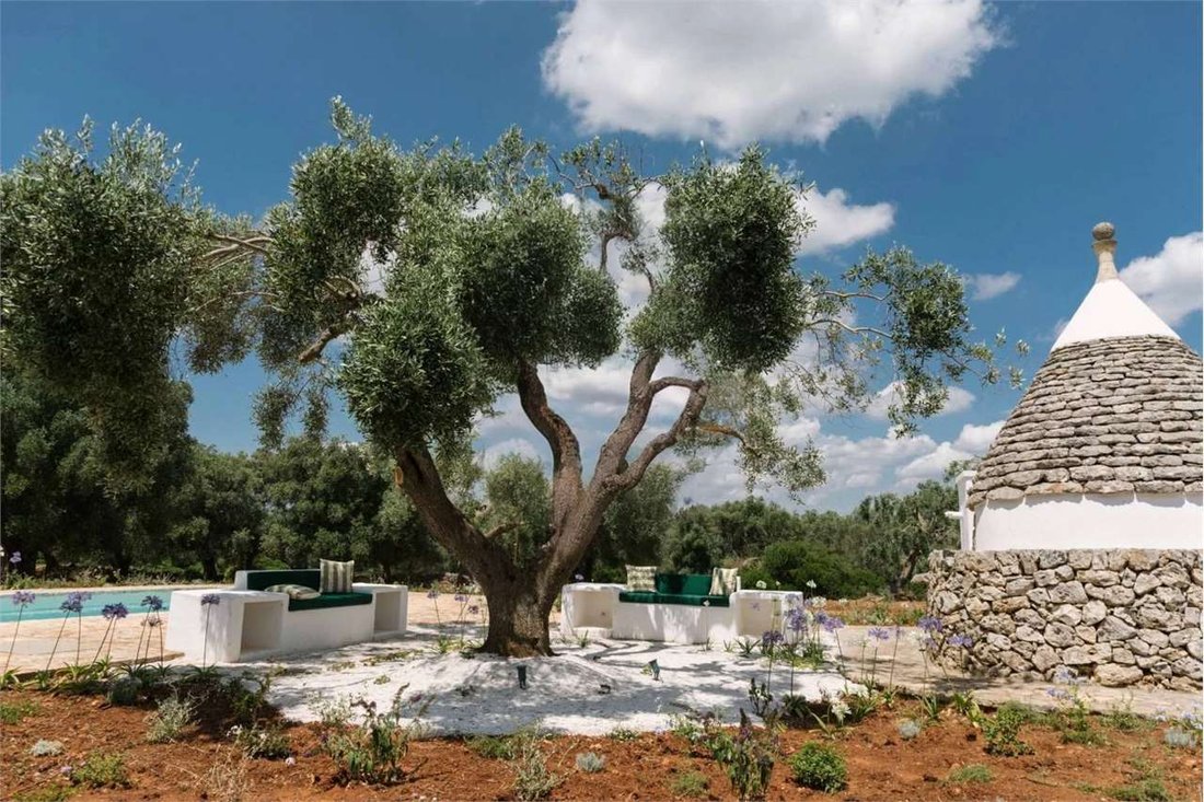 Otros en Ceglie Messapica, Apulia, Italia 4 - 15328717