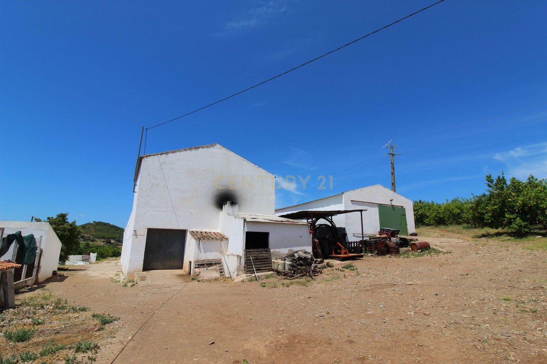 Farm Ranch in Conceicao e Cabanas de Tavira, Algarve, Portugal 4 - 14388527