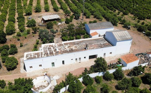 Azienda agricola a Conceicao e Cabanas de Tavira, Algarve, Portogallo 1