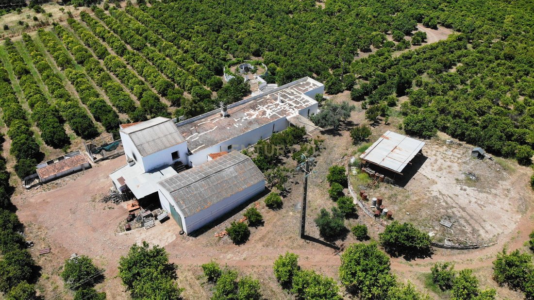 Farm Ranch in Conceicao e Cabanas de Tavira, Algarve, Portugal 2 - 14388527