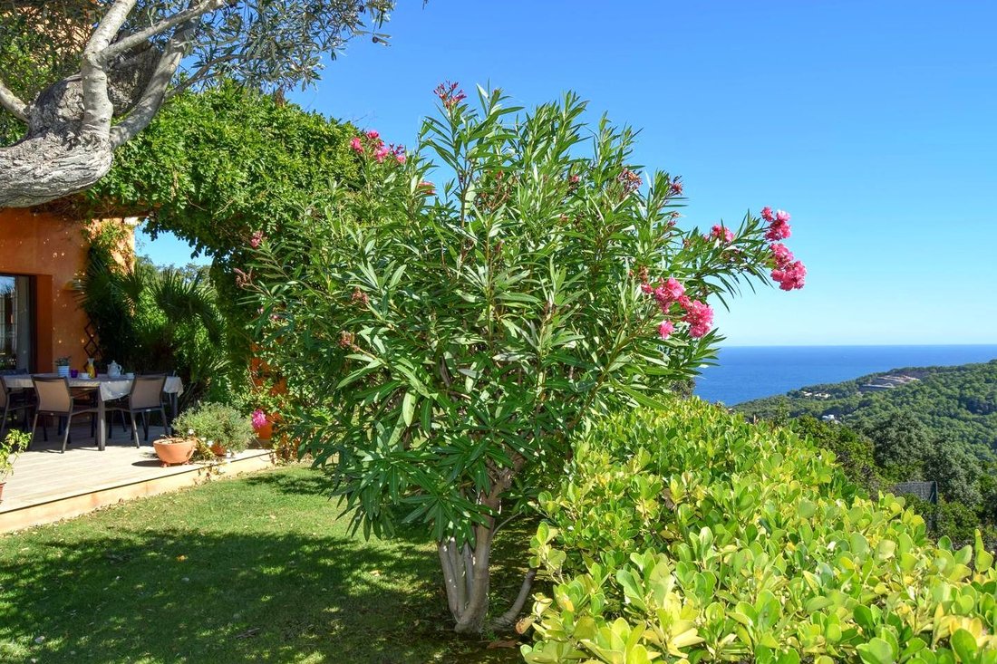 Villa a Begur, Catalogna, Spagna 3 - 15331299