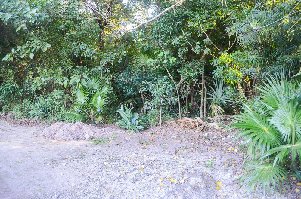 Terreno a Alma Tulum Hotel, Quintana Roo, Messico 5 - 15228519