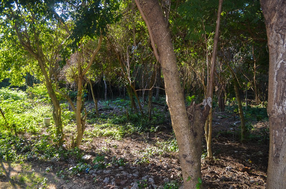 Terreno a Alma Tulum Hotel, Quintana Roo, Messico 3 - 15228519