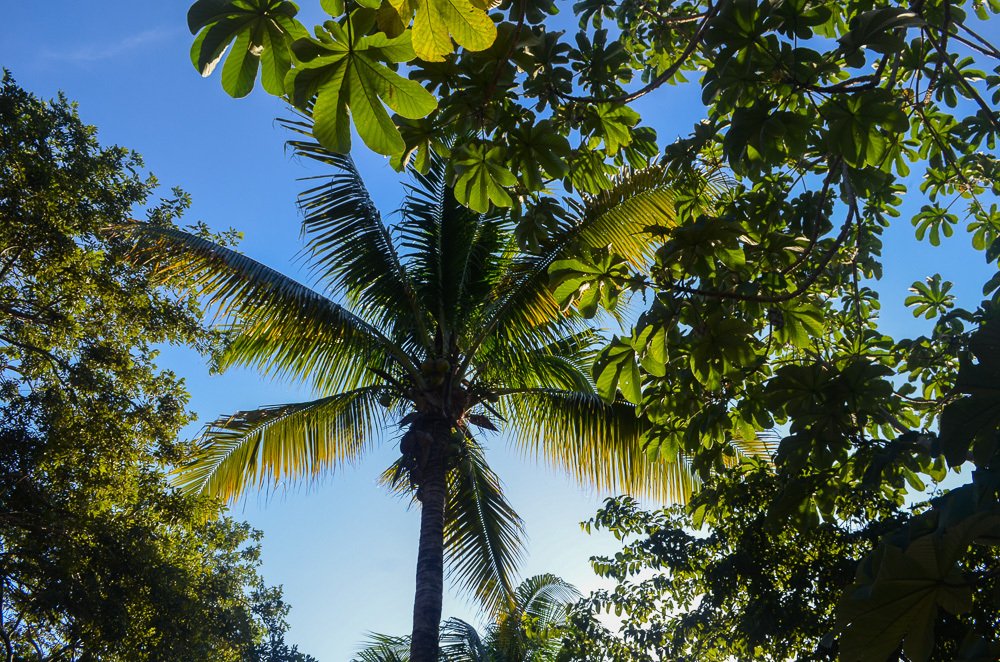 Terreno a Alma Tulum Hotel, Quintana Roo, Messico 5 - 15228517