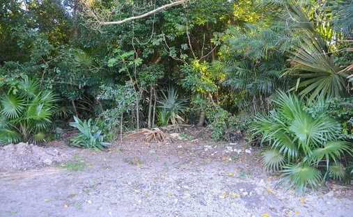 Land in Tulum, Quintana Roo, Mexico 1