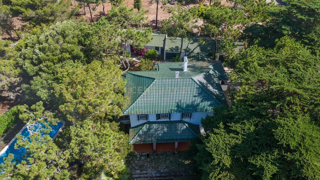 Villa in Cascais e Estoril, Lisbon, Portugal 5 - 14609960
