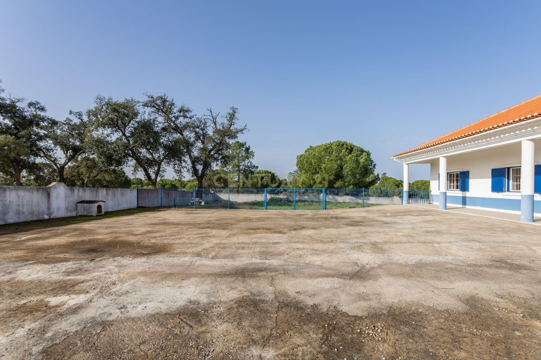 Farm Ranch in Couco, Santarem District, Portugal 3 - 15021390