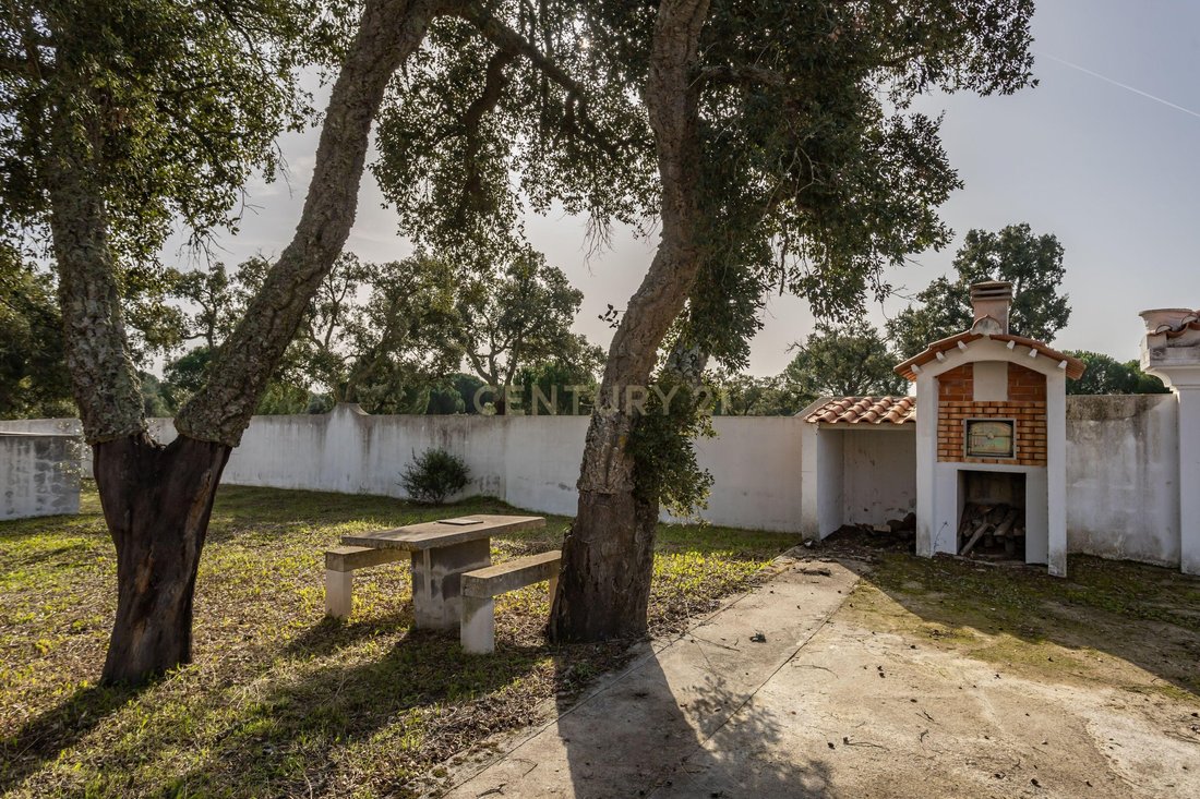 Farm Ranch in Couco, Santarem District, Portugal 4 - 15021390