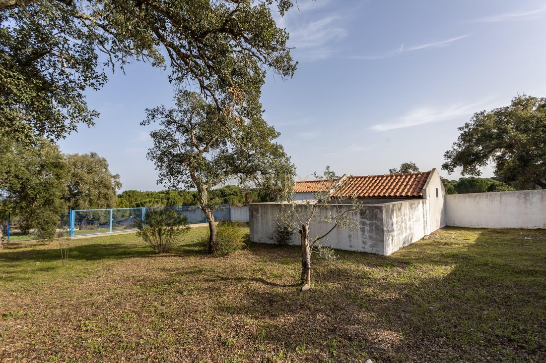 Farm Ranch in Couco, Santarem District, Portugal 5 - 15021390