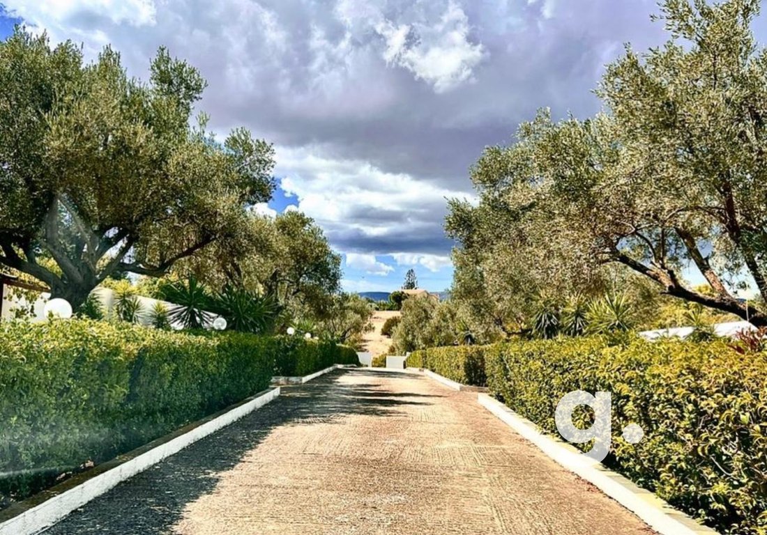 Villa in Markopoulo Mesogaias, Attica, Greece 5 - 15338941