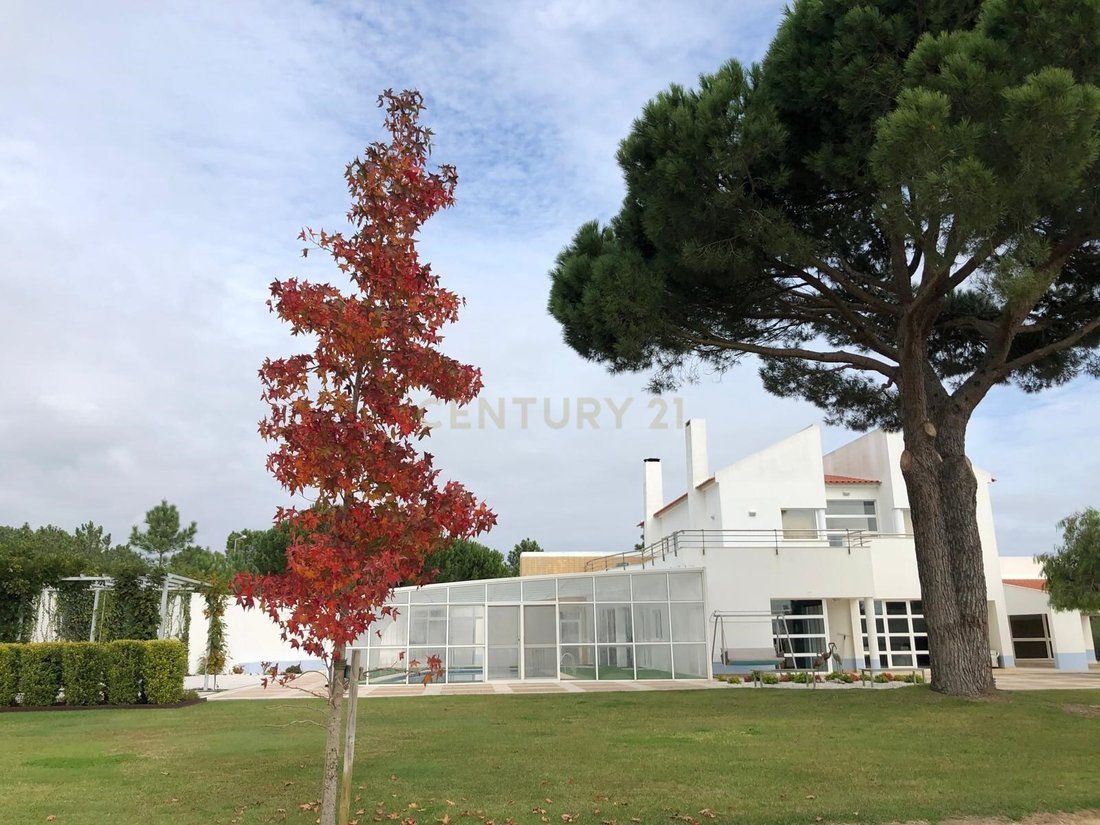 Farm Ranch in Azambuja, Lisbon, Portugal 3 - 14994044