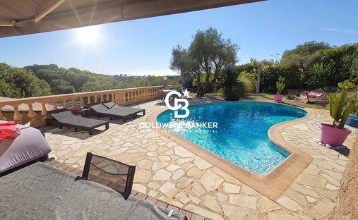 Villa in Antibes, Provence-Alpes-Côte d'Azur, France 1