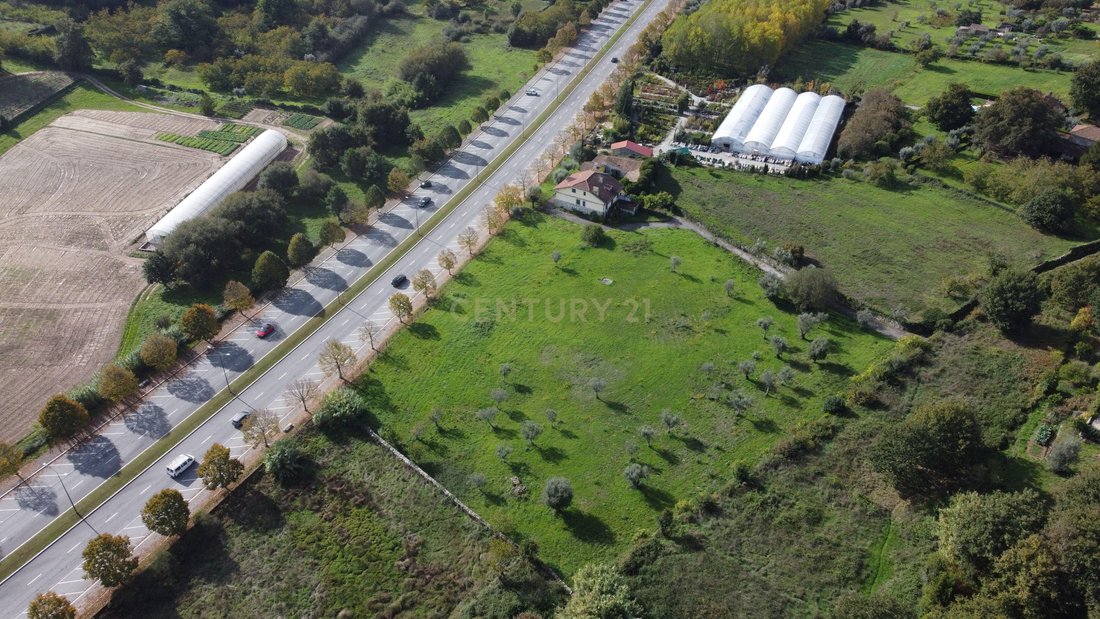 Land in Viseu, Viseu District, Portugal 2 - 13501906