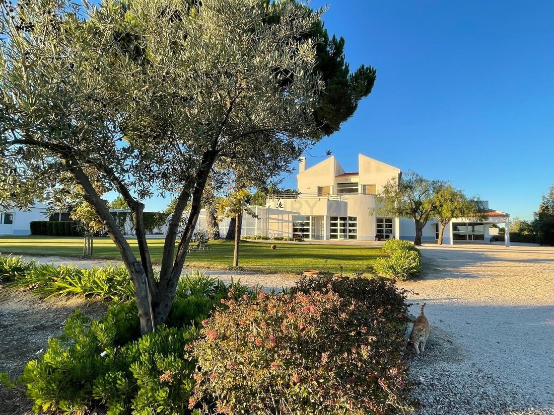 Farm Ranch in Azambuja, Lisbon, Portugal 2 - 14994044