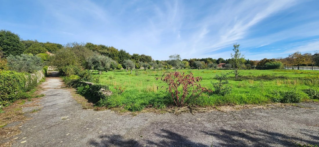 Land in Viseu, Viseu District, Portugal 3 - 13501906
