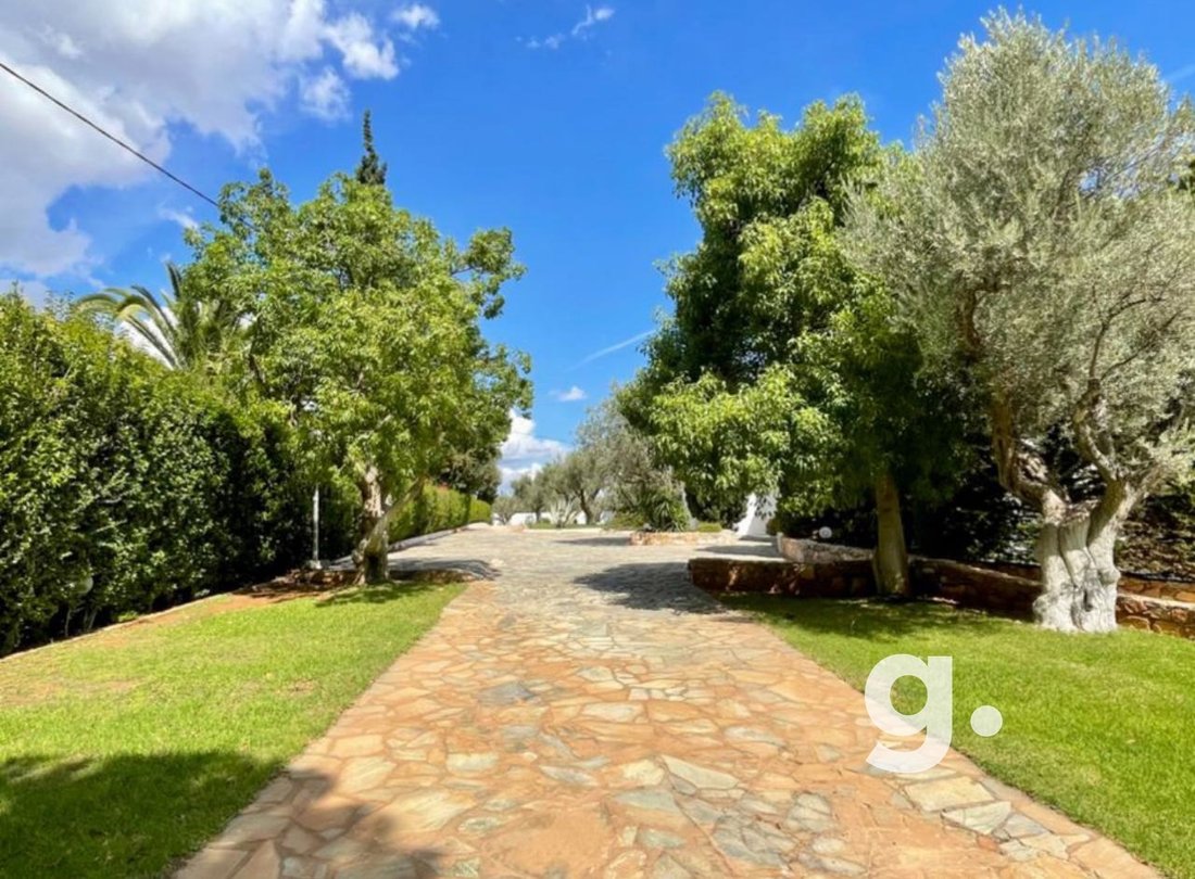 Villa in Markopoulo Mesogaias, Attica, Greece 4 - 15338941
