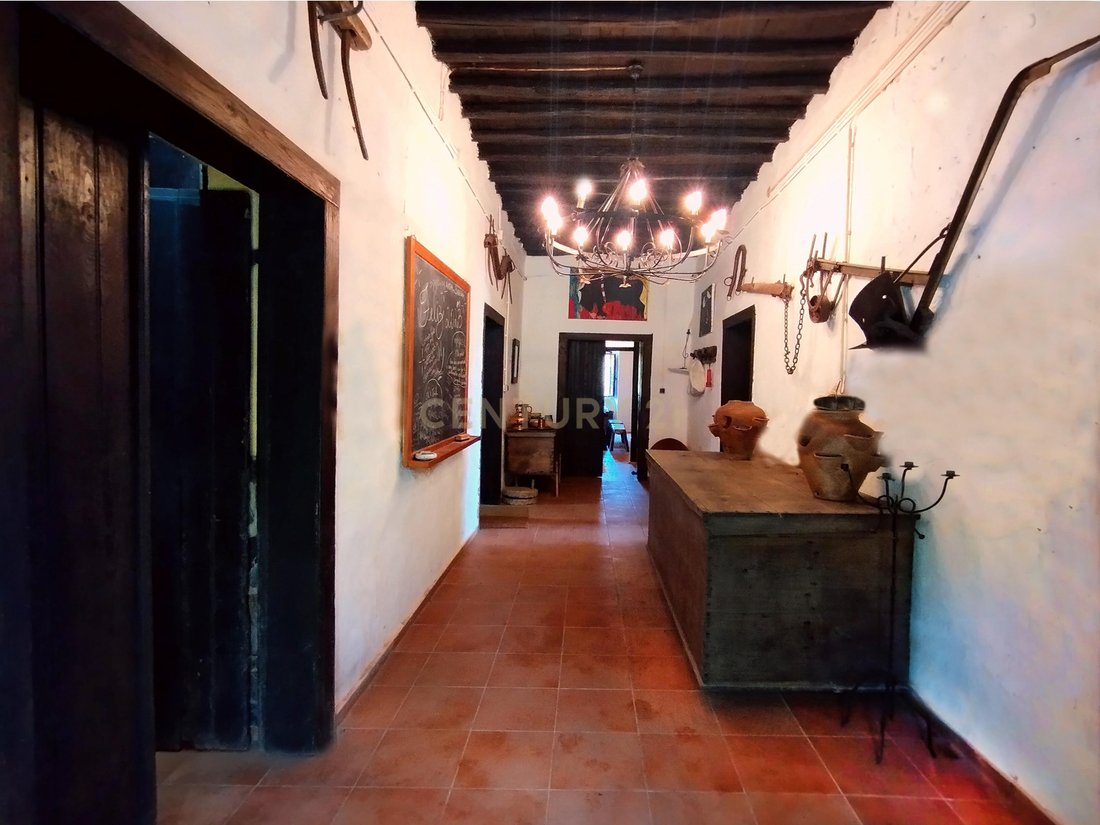 Farm Ranch in Monchique, Algarve, Portugal 4 - 14079763