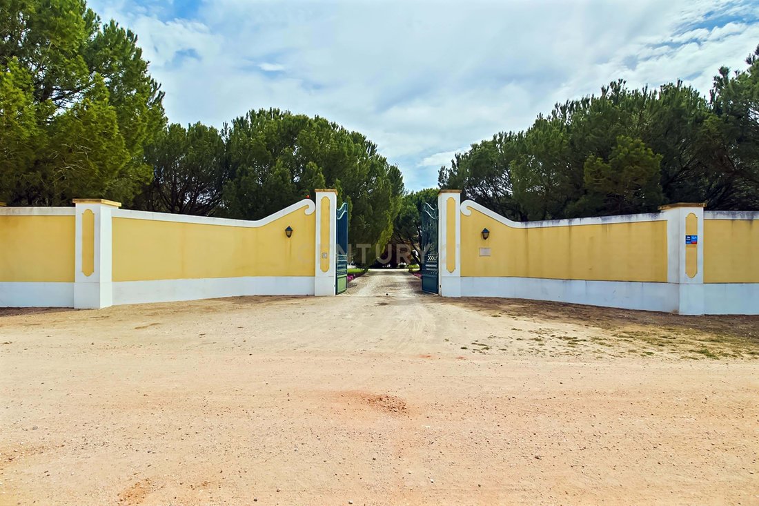 Villa in Santo Estevao, Santarem District, Portugal 2 - 13282308