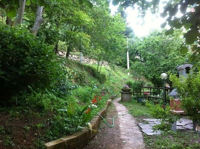 Altro a Molina di Quosa-rigoli, Toscana, Italia 5 - 15337250