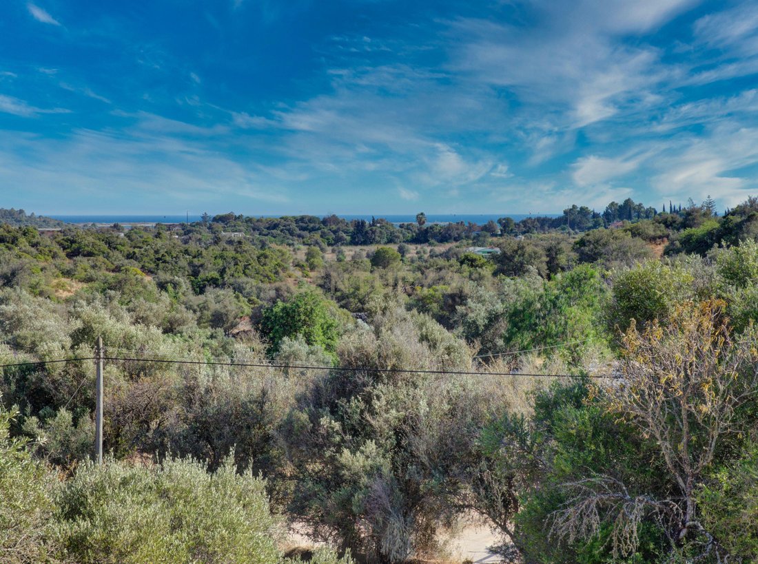 Land in Mexilhoeira Grande, Algarve, Portugal 5 - 14795726