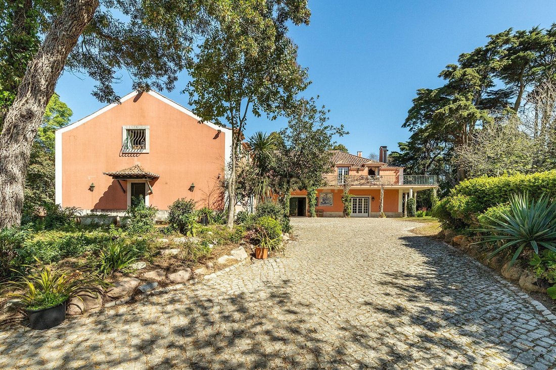 Whispers of Sintra: A 1960s Palace Reborn in Nature’s Embrace