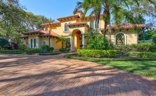 House in Tampa, Florida, United States 1