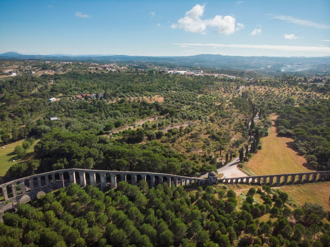 Azienda agricola a Paialvo, Distretto di Santarém, Portogallo 4 - 12283141