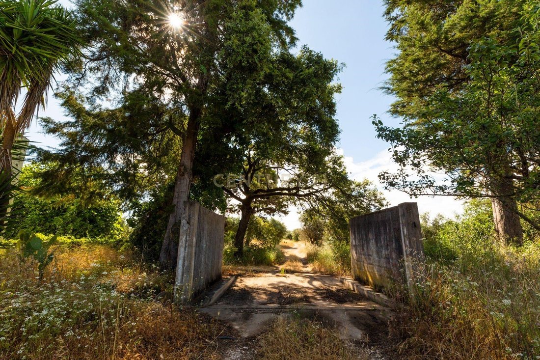 Azienda agricola a Paialvo, Distretto di Santarém, Portogallo 5 - 12283141