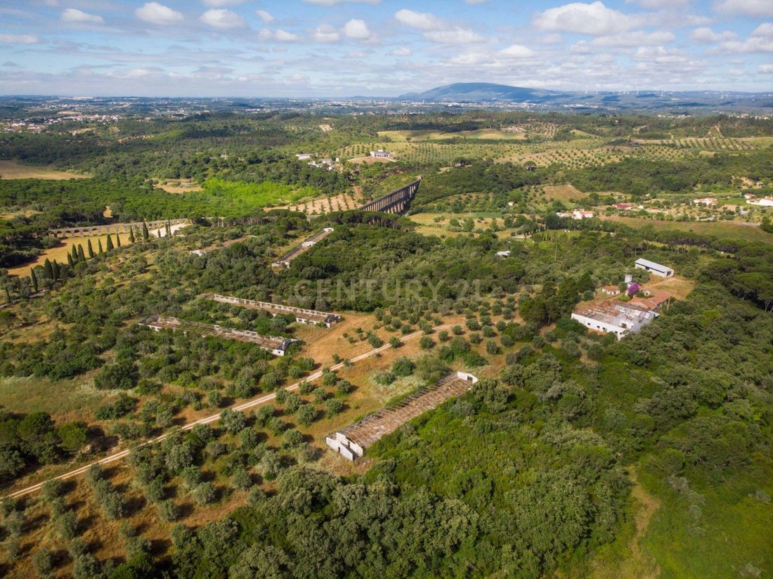 Azienda agricola a Paialvo, Distretto di Santarém, Portogallo 2 - 12283141
