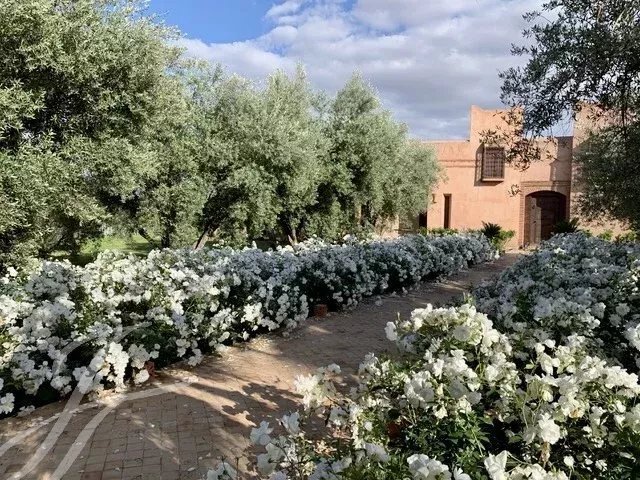 House in Menara, Marrakesh-Safi, Morocco 5 - 15338487