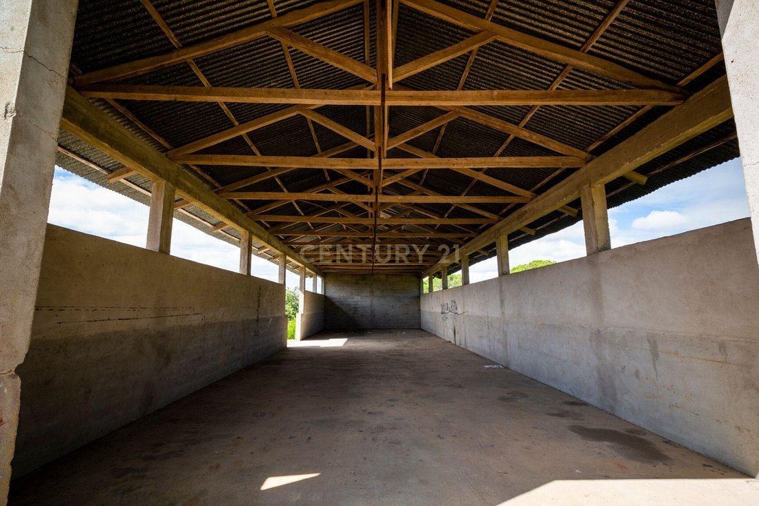 Azienda agricola a Paialvo, Distretto di Santarém, Portogallo 3 - 12283141