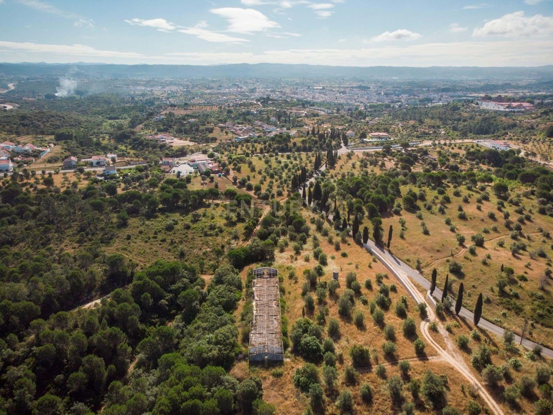 Azienda agricola a Paialvo, Distretto di Santarém, Portogallo 1 - 12283141