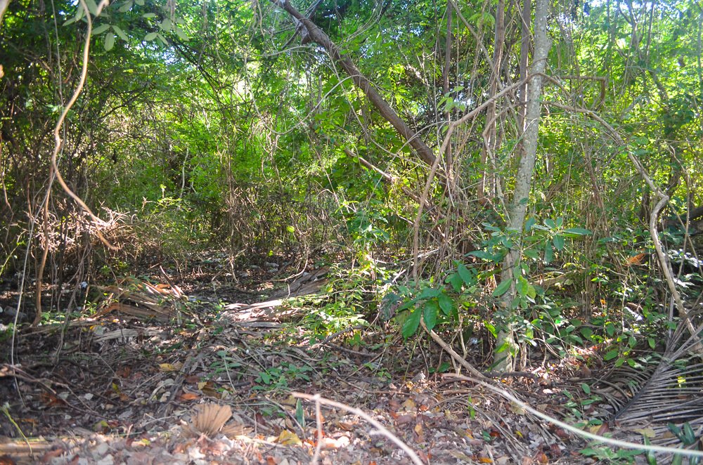 Terreno a Alma Tulum Hotel, Quintana Roo, Messico 1 - 15228519