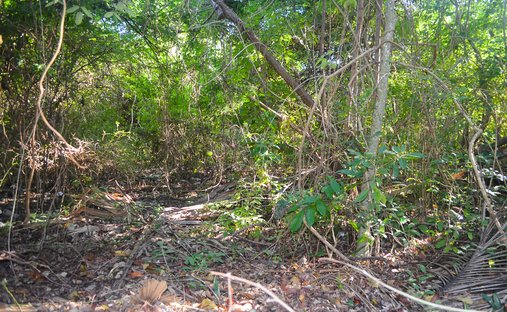 Terreno en Alma Tulum Hotel, Quintana Roo, México 1